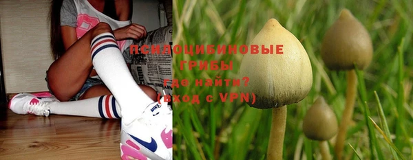 тгк Абинск