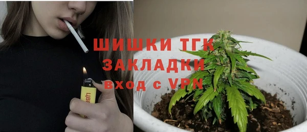 тгк Абинск