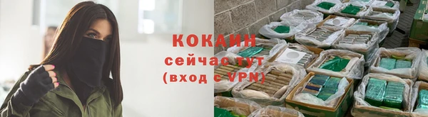 тгк Абинск