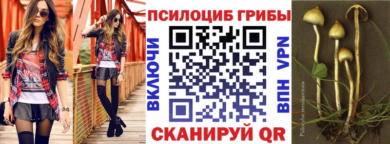 Псилоцибиновые грибы мицелий  Шарья 